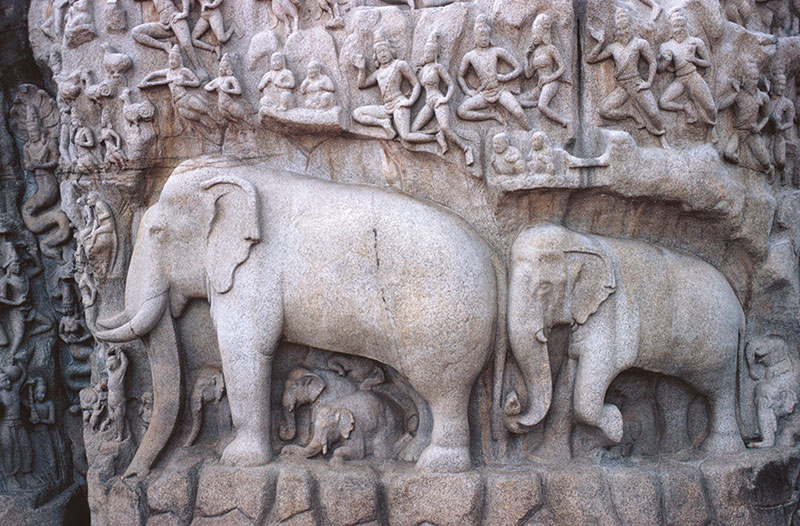 Amura, Camboya, Cambodia,Santuarios para Elefantes, 