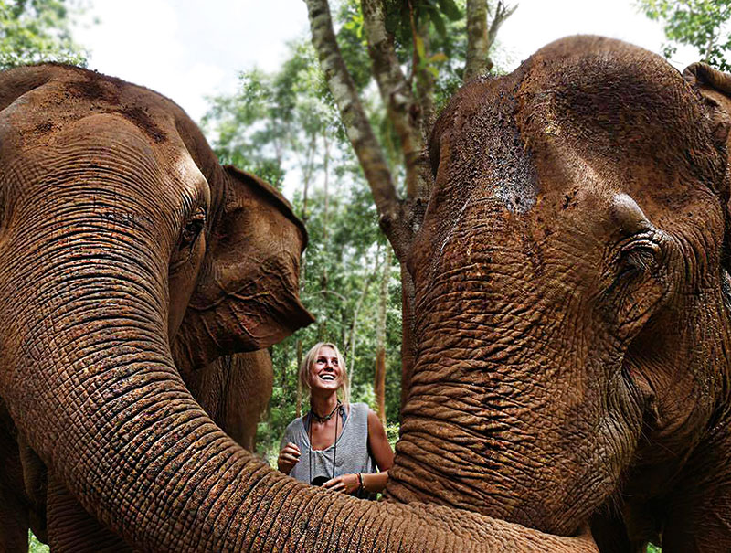 Amura, Camboya, Cambodia,Santuarios para Elefantes, 