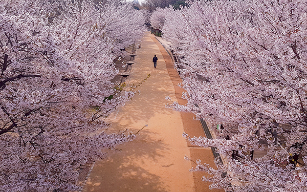 Corea del Sur - Ashanti Rojano