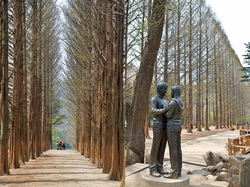 Amura,Corea del Sur,South Korea,Seúl,Busan,Isla Jeju,Villa de Bukchon Hanok, Nami Island offers lovely landscapes.