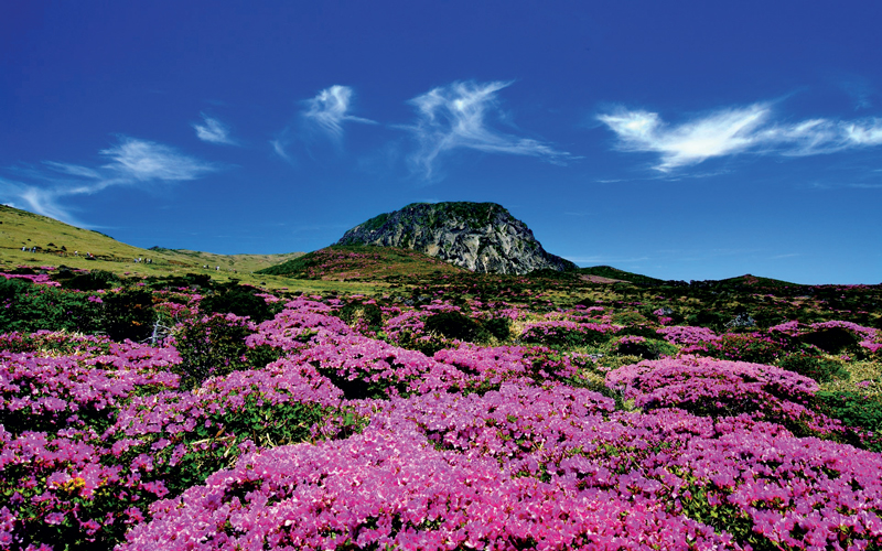Amura,Corea del Sur,South Korea,Seúl,Busan,Isla Jeju,Villa de Bukchon Hanok, Jeju was named one of the New Seven Wonders of Nature in 2011.<br />