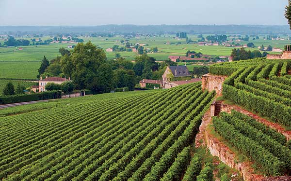 Tips & Tops Route des Vins - Amura