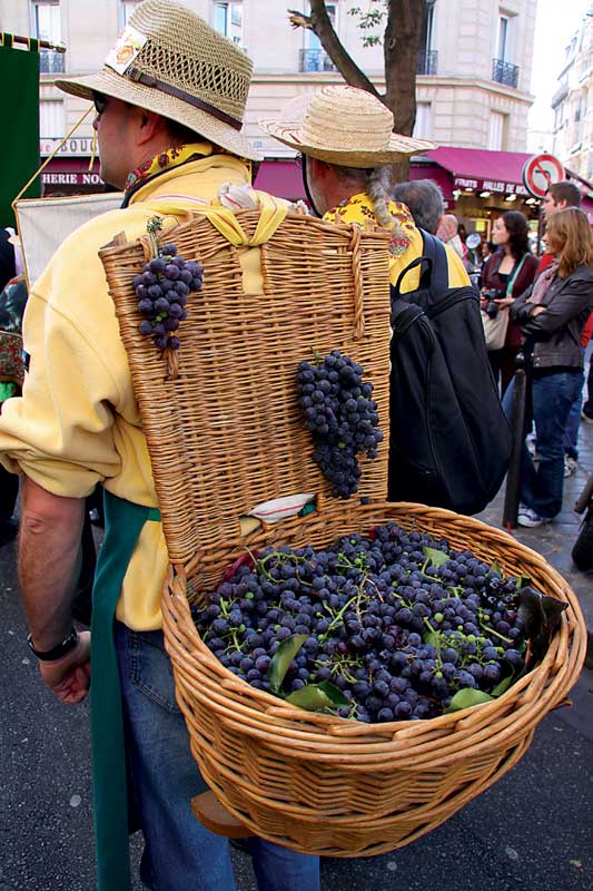 Amura,Región del vino,Ruta del vino,Francia,El arte de crear vino Francés, 