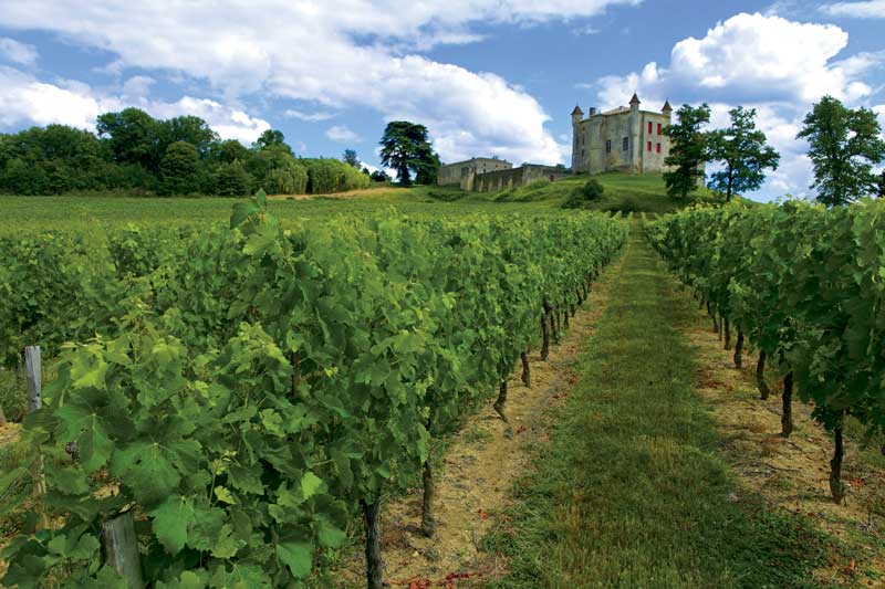 Amura,Región del vino,Ruta del vino,Francia,El arte de crear vino Francés,Las Regiones del vino, 