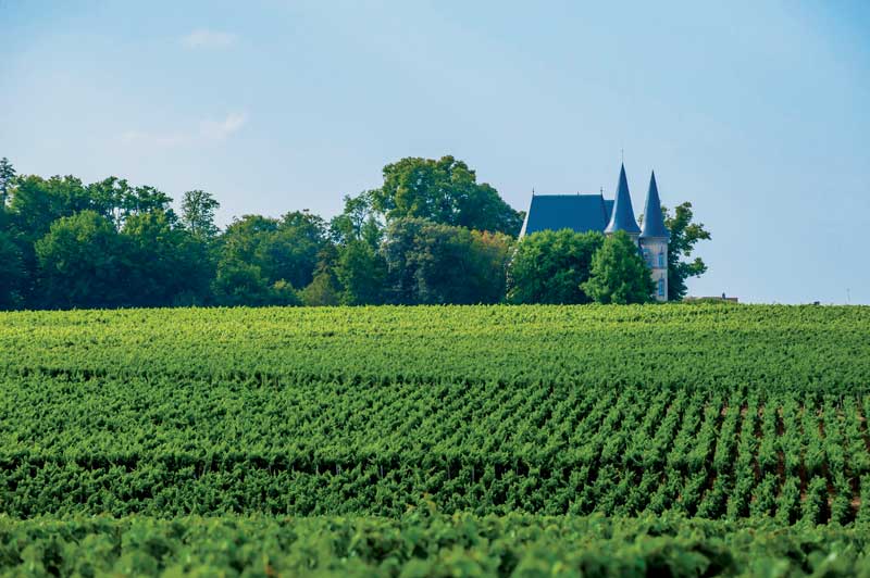 Amura,Región del vino,Ruta del vino,Francia,El arte de crear vino Francés,Las Regiones del vino, 