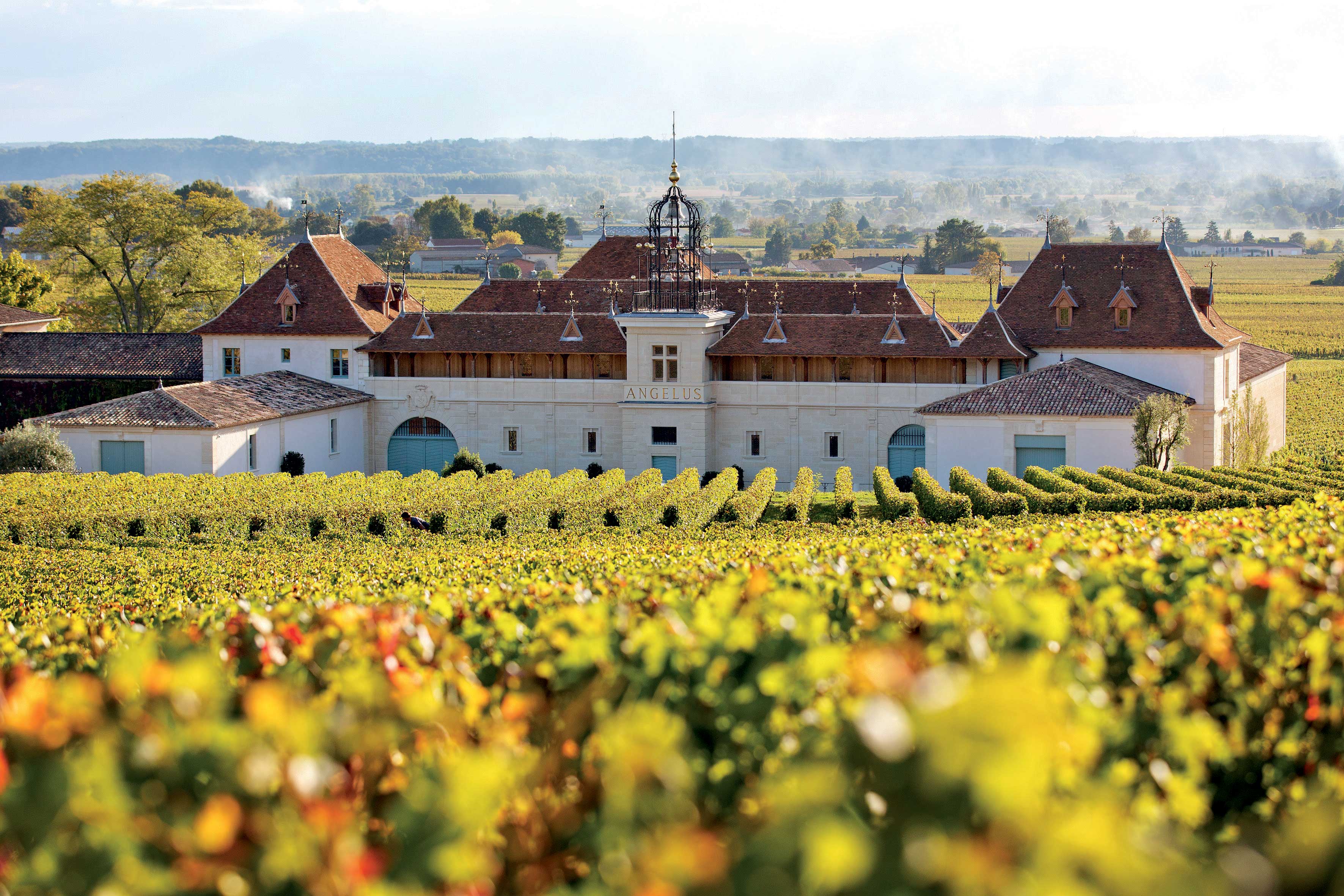 Amura,Región del vino,Ruta del vino,Francia,El arte de crear vino Francés,Las Regiones del vino, 