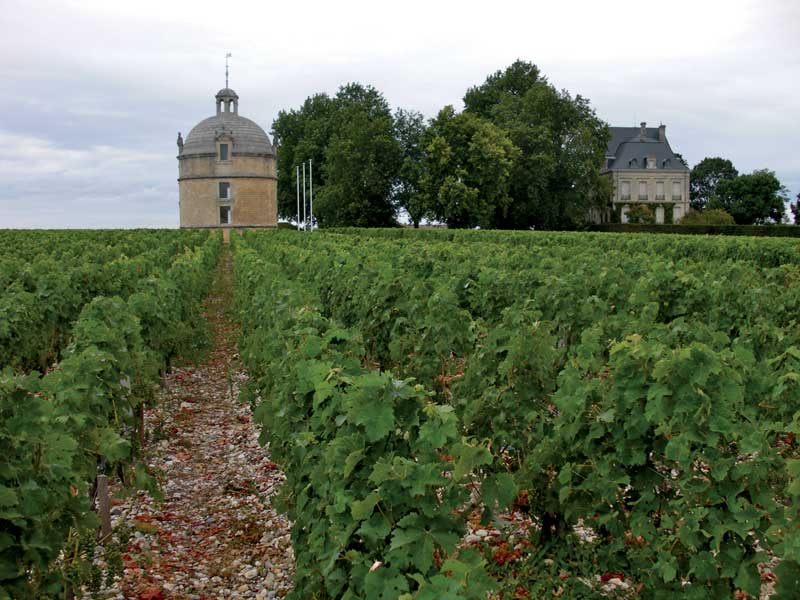 Amura,Región del vino,Ruta del vino,Francia,El arte de crear vino Francés,Las Regiones del vino, 