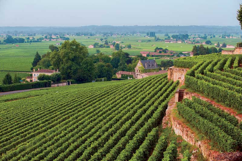 Amura,Región del vino,Ruta del vino,Francia,Tips & Tops Routes des Vins, 