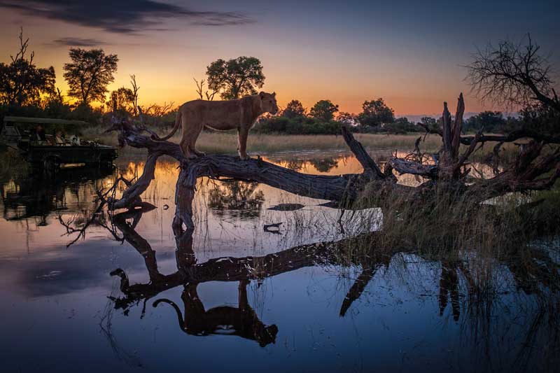 Amura, Botsuana,Botswana,safaris, 