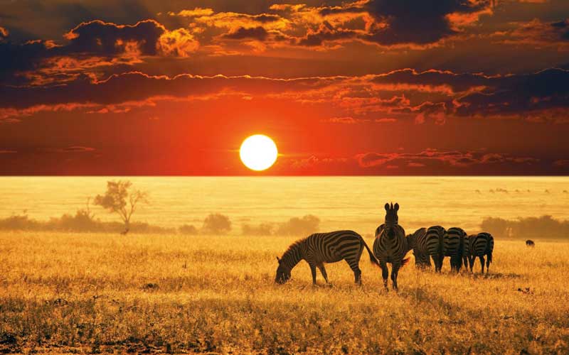 Amura, Botsuana,Botswana,safaris, 