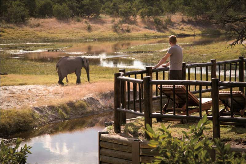 Amura, Botsuana,Botswana,safaris, 