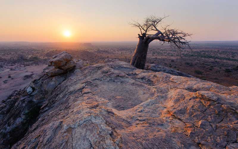 Amura, Botsuana,Botswana,safaris, 