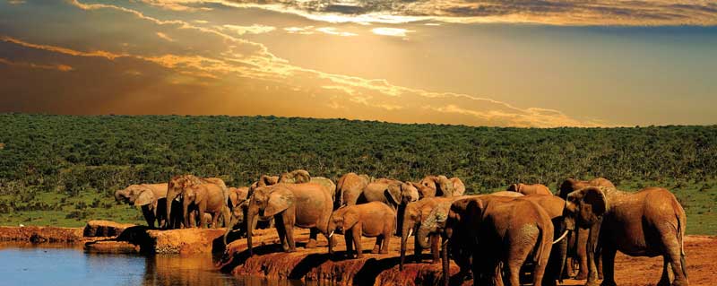 Amura, Botsuana,Botswana,safaris, 