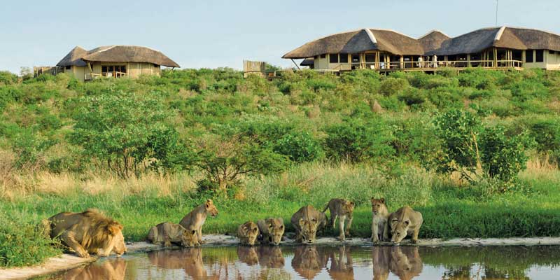 Amura, Botsuana,Botswana,safaris, 