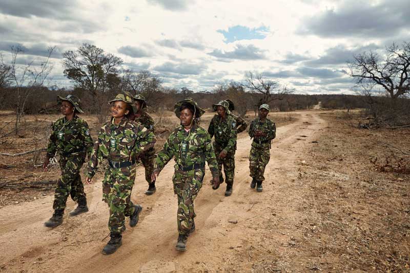 Amura, Botsuana,Botswana,Sabana africana,, 