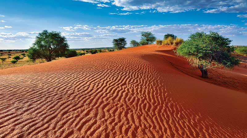 Amura, Botsuana,Botswana,Setswana, 