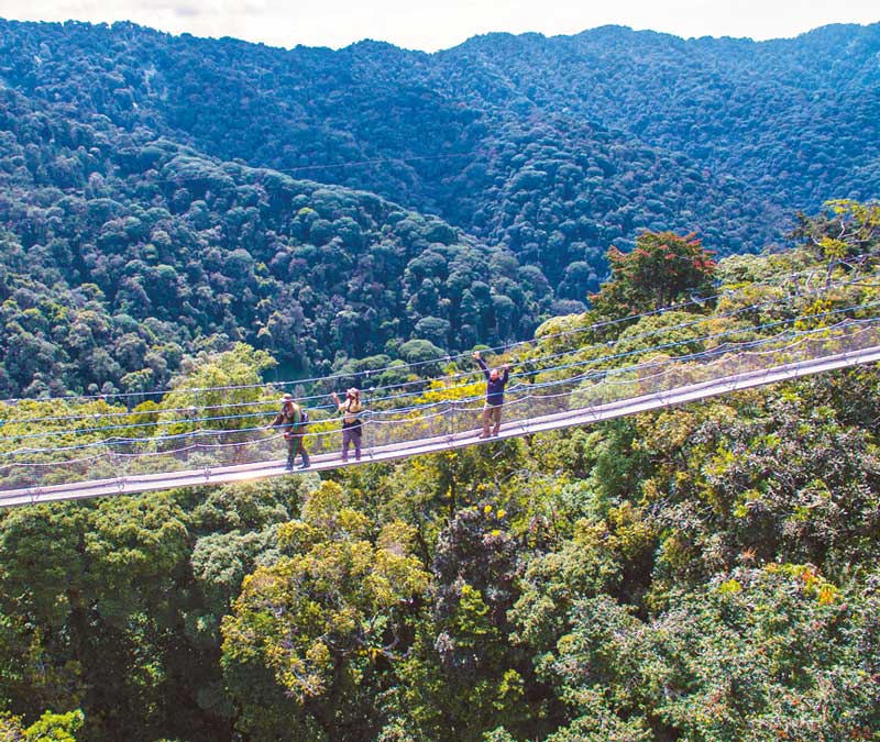 Amura, AmuraWorld,Rwanda,Ruanda,Compás Internacional,International Compass , Puente colgante en el bosque de Nyungwe. 