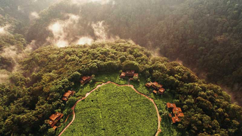 Amura, AmuraWorld,Rwanda,Ruanda,Compás Internacional,International Compass , The One & Only Nyungwe hotel is located in the Gisakura tea plantation.