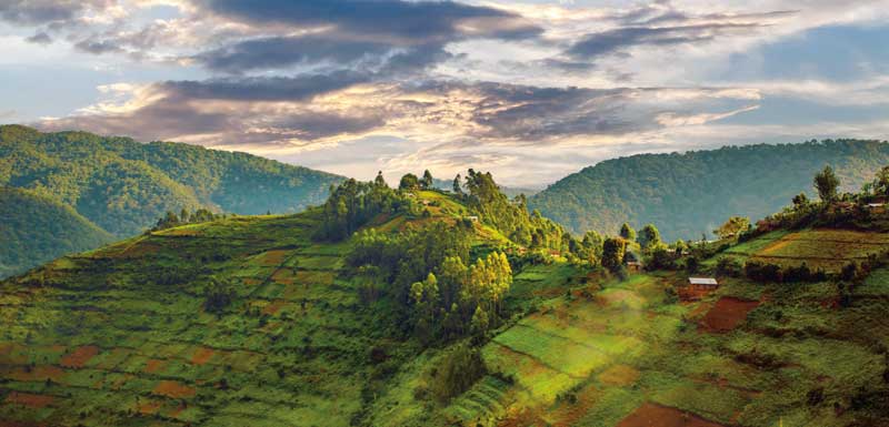 Amura, AmuraWorld,Rwanda,Ruanda,Compás Internacional,International Compass , 83% of the country's inhabitants live in rural areas.