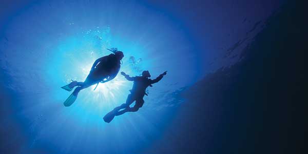 Diving with sharks is an unusual experience  - Mónica Sánchez Miguel