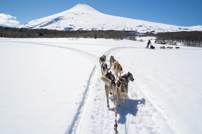 Amura, Amura World,Homenaje a la vida,Bucket list, 