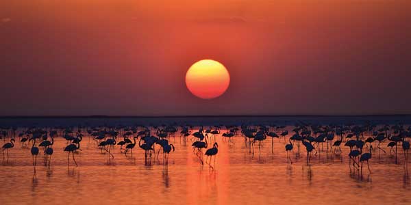 El lago Tuz el “espejo de cielo” de Turquía - Laura Riestra