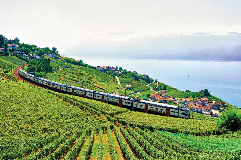 Amura,AmuraWorld,AmuraYachts,Gstaad,Geneva,Montreux, Las terrazas de los viñedos de Lavaux, cercanas al lago Léman. / Terraces of the vineyards of Lavaux, near Lake Geneva.