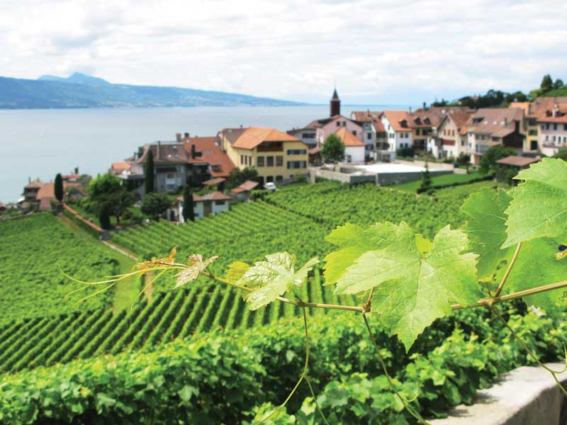 Amura,AmuraWorld,AmuraYachts,La aromática y vinícola Suiza, Los viñedos de las terrazas de Lavaux, en Vaud, fueron declarados Patrimonio Mundial de la Humanidad por la Unesco. 