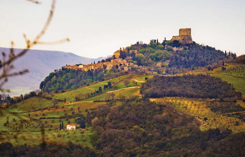 Amura,AmuraWorld,AmuraYachts,Toscana enoturismo e historia, Enoteca La Fortezza and its vineyards.