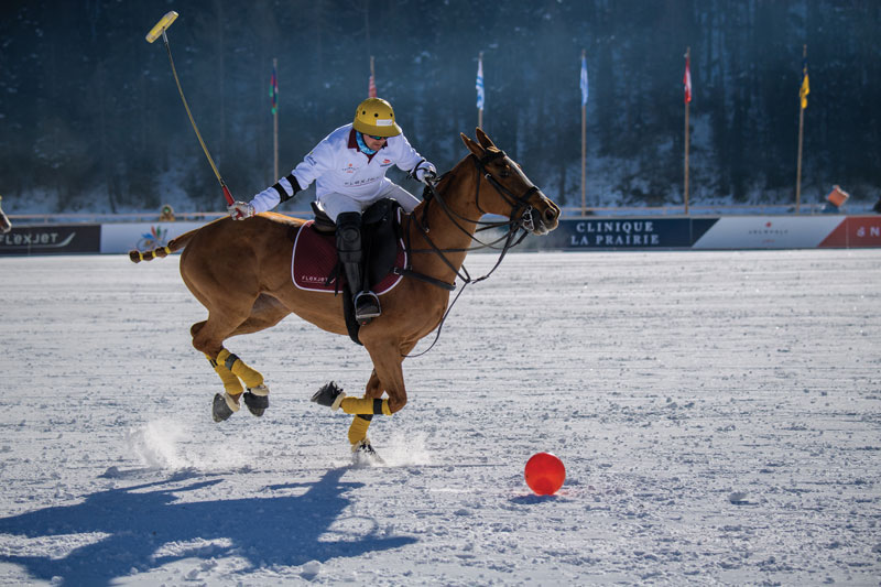 Amura,AmuraWorld,AmuraYachts,Tasmania,Polo, Effective ball handling in polo requires strong coordination between the rider and the horse.