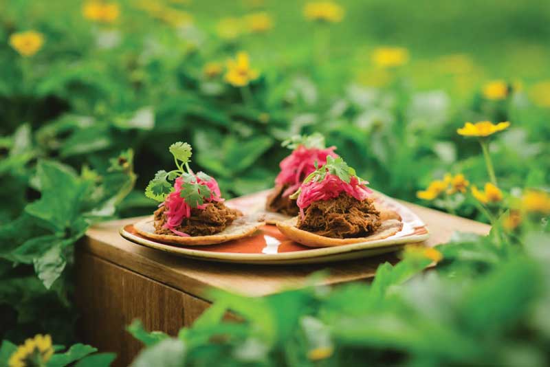 Amura,Amura World,Amura Yachts,Ruta Maya,Kismet, 