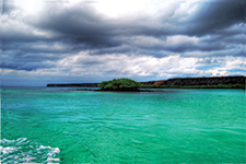 Islas Galápagos - Daniela Becerra